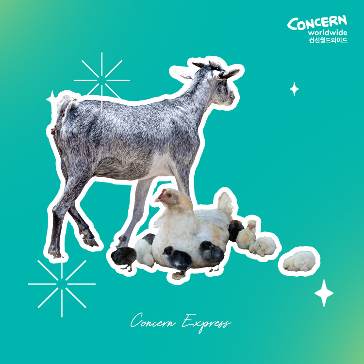 희망이 알차게 자라는 세트